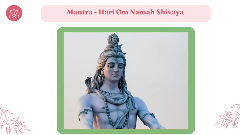 Jour 1. Mantra - Hari Om Namah Shivaya avec Sandrine Entraygues (07min)